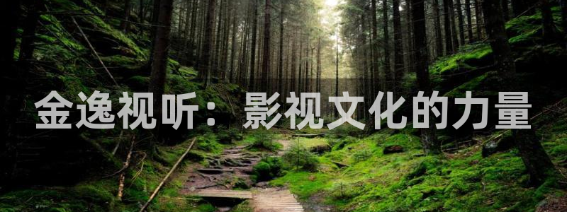 南瓜湖北：金逸視聽：影視文化的力量