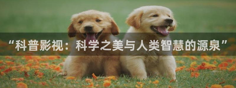 南瓜電影在線：“科普影視：科學(xué)之美與人類智慧的源泉”